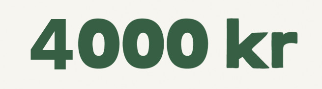 låna 4000