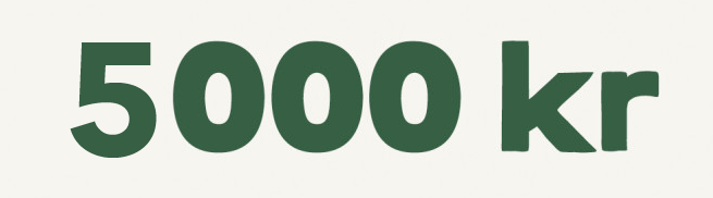 låna 5000