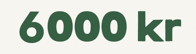 låna 6000